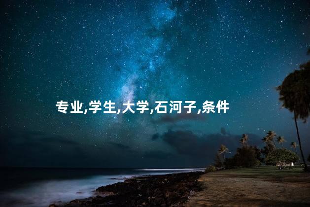 专业,学生,大学,石河子,条件