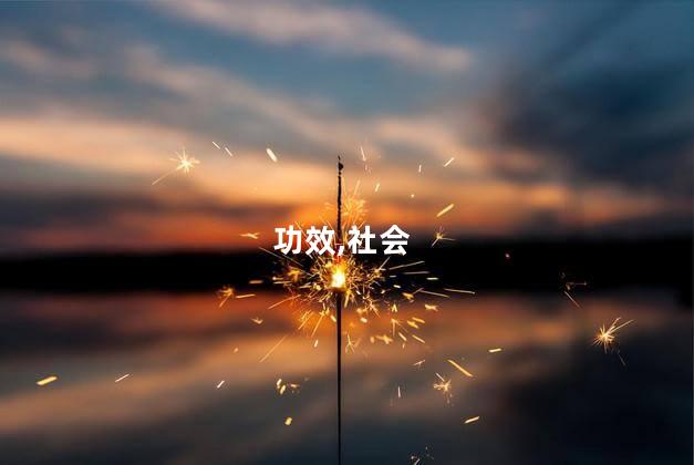 功效,社会