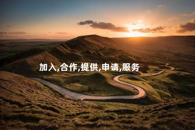 加入,合作,提供,申请,服务