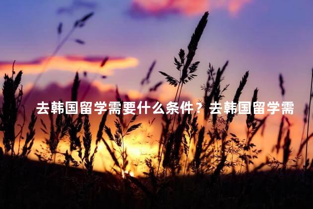 去韩国留学需要什么条件？去韩国留学需要满足哪些条件