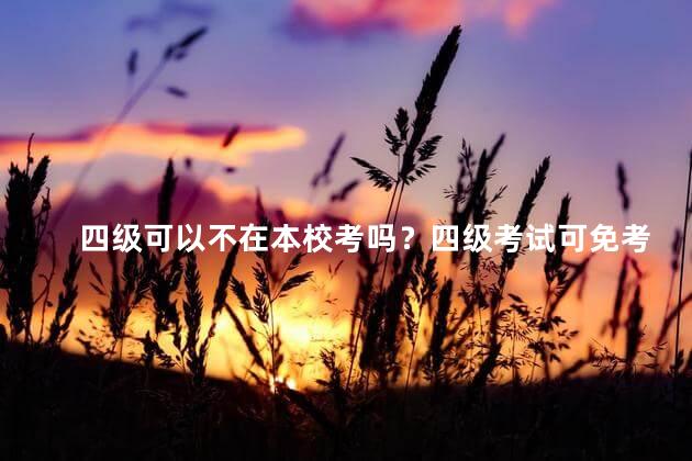 四级可以不在本校考吗？四级考试可免考外校？方便调换考场