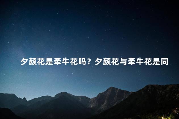 夕颜花是牵牛花吗？夕颜花与牵牛花是同一种花吗？