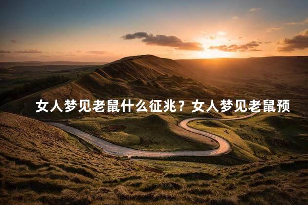 女人梦见老鼠什么征兆？女人梦见老鼠预示着什么好兆头？