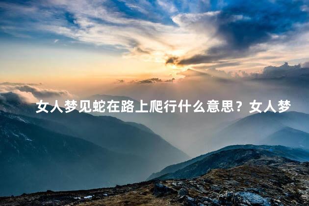 女人梦见蛇在路上爬行什么意思？女人梦见蛇在路上：意味着什么？