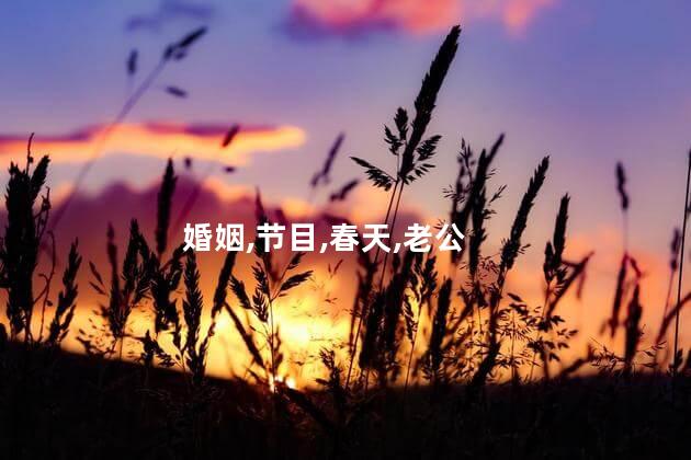 婚姻,节目,春天,老公