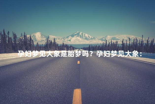 孕妇梦见大象是胎梦吗？孕妇梦见大象：象征着什么？