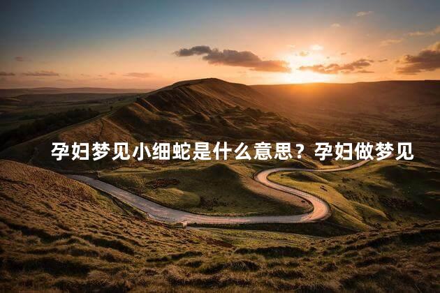 孕妇梦见小细蛇是什么意思？孕妇做梦见小细蛇：解读和意义