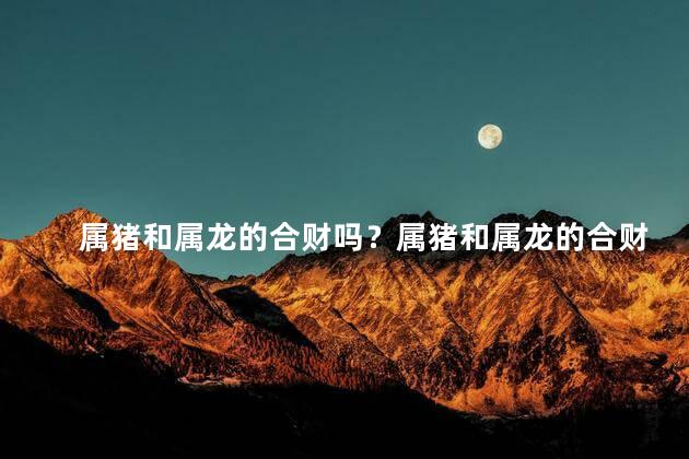 属猪和属龙的合财吗？属猪和属龙的合财大揭秘！