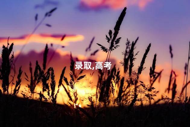 录取,高考