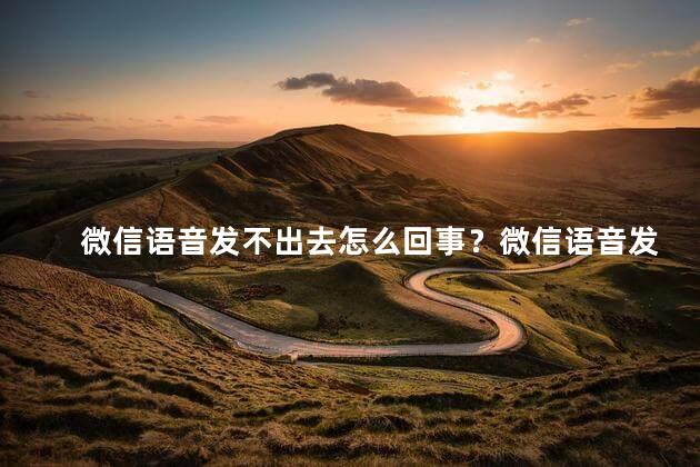 微信语音发不出去怎么回事？微信语音发送失败的原因及解决方法