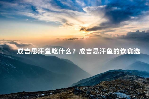 成吉思汗鱼吃什么？成吉思汗鱼的饮食选择