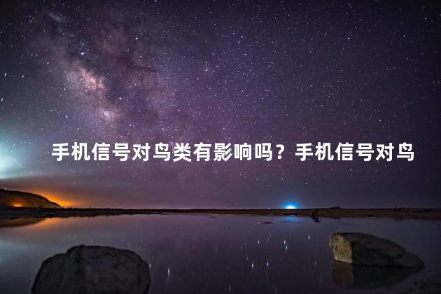 手机信号对鸟类有影响吗？手机信号对鸟类的影响：真相揭秘