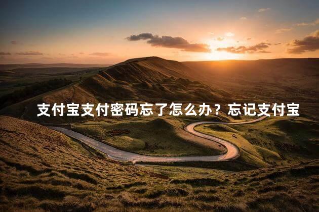 支付宝支付密码忘了怎么办？忘记支付宝支付密码怎么处理