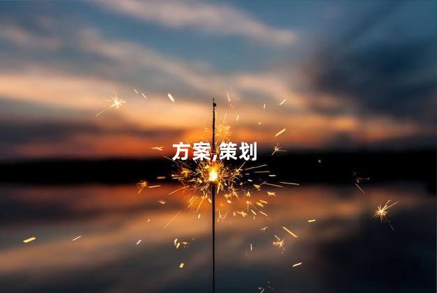 方案,策划