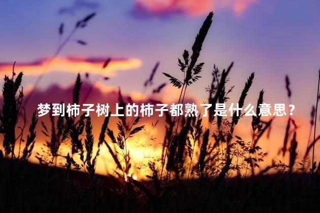 梦到柿子树上的柿子都熟了是什么意思？柿子树上的柿子全熟了梦境意义揭秘