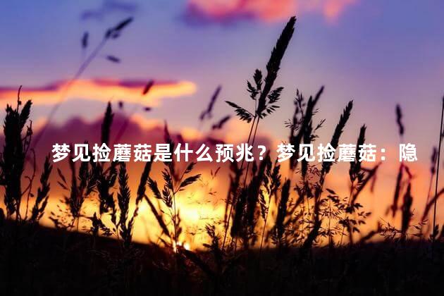 梦见捡蘑菇是什么预兆？梦见捡蘑菇：隐含的预兆？