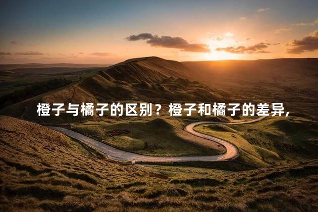橙子与橘子的区别？橙子和橘子的差异,你知道吗？
