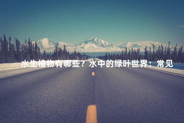 水生植物有哪些？水中的绿叶世界：常见的水生植物！