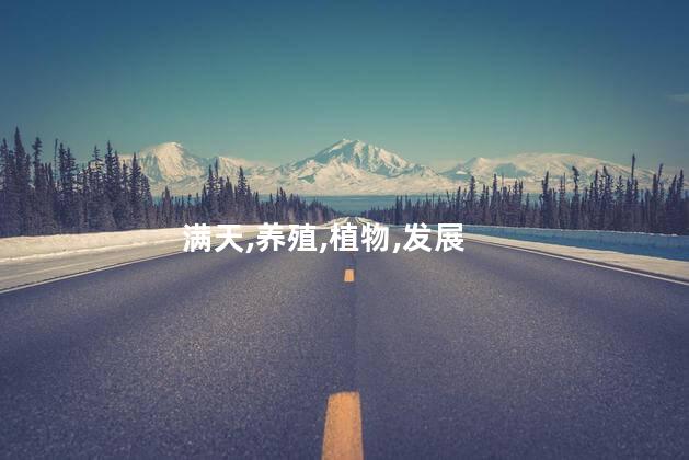 满天,养殖,植物,发展