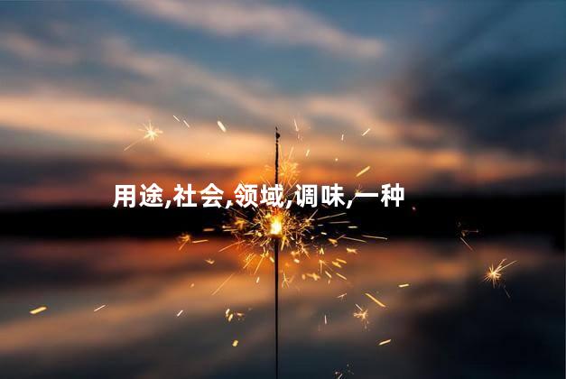 用途,社会,领域,调味,一种