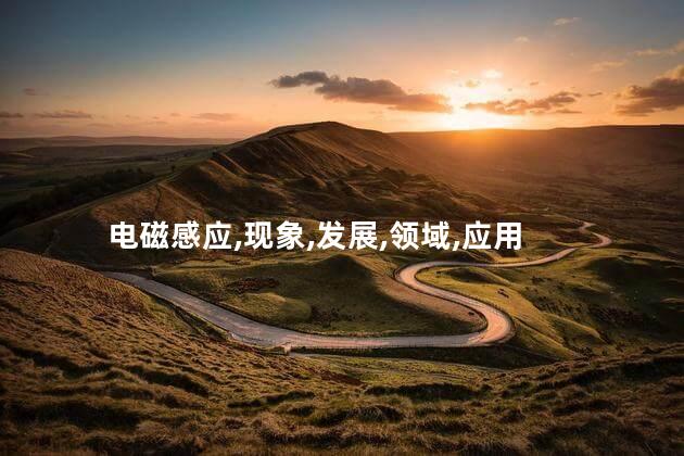 电磁感应,现象,发展,领域,应用