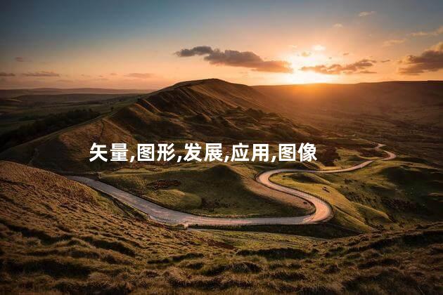 矢量,图形,发展,应用,图像