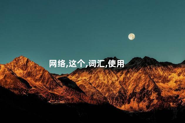 网络,这个,词汇,使用