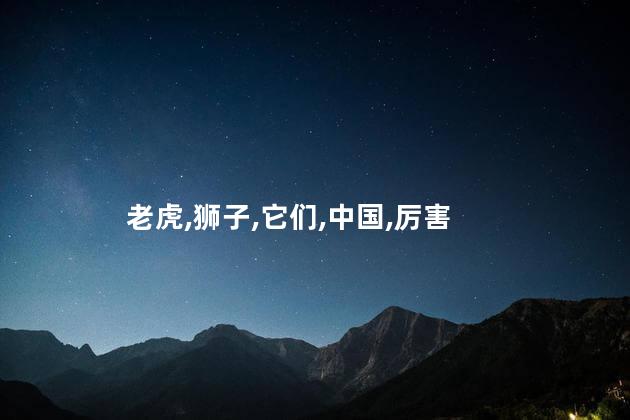 老虎,狮子,它们,中国,厉害