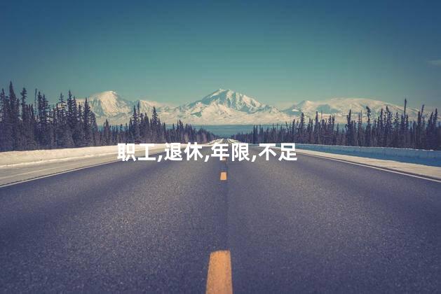 职工,退休,年限,不足
