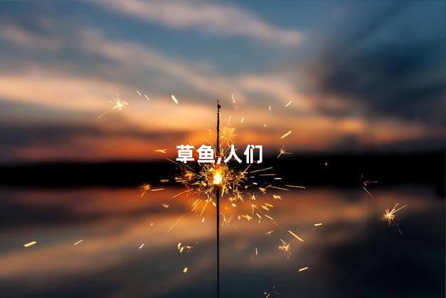 草鱼,人们
