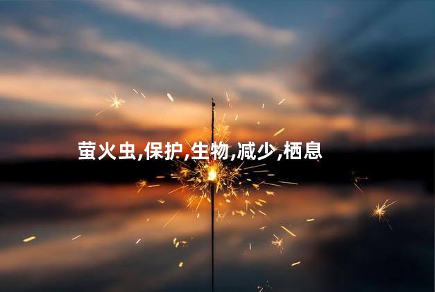 萤火虫,保护,生物,减少,栖息