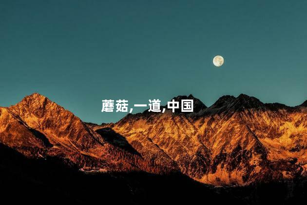 蘑菇,一道,中国