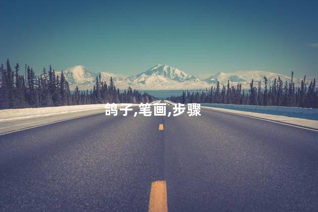 鸽子,笔画,步骤